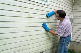 Best Siding Painting and Refinishing  in , AR